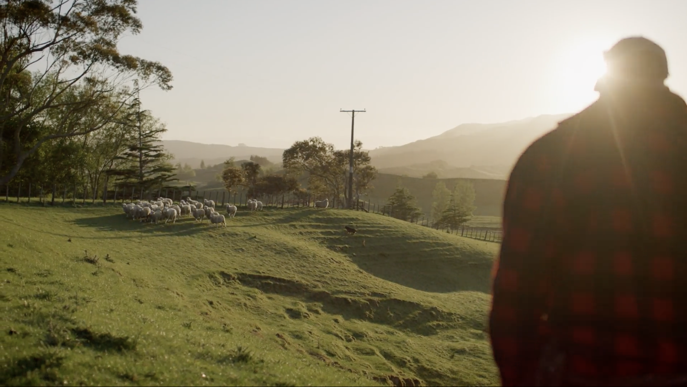 Floc uses 100% NZ strong wool